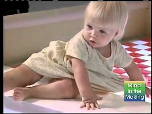 03 First 2 Years Visual Cliff