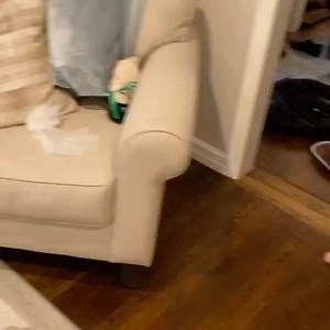 3.4K views · 244 reactions | Waking up on a Seton Hall game day! ‍☠️  Julie Wester | Seton Hall University | Facebook