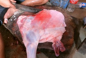 1.8K views · 168 reactions | Amazing Cutting Skills | Big Goat Mutton & Meat & Chopping By Expert Meat Cutter | Meat Cutting & Fish | Facebook