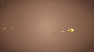 1.4K views · 114 reactions | 69 kiss in 1 Ep  ใคร เป็น คน ทำ 藍藍藍藍 PINANIL THE ROYAL WEDDING #ปิ่นภักดิ์EP17 #ฟรีนเบค #FreenBecky #srchafreen #beckysangels | Ratchaporn Bunjongjit | Facebook