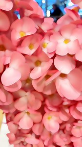 Pick up a last minute gift for mum at Pandora and if you spend $40 in...