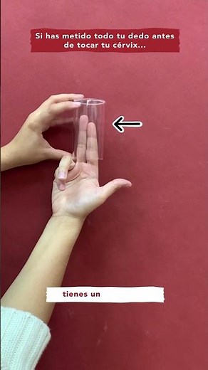 ¿Cérvix alto, medio o bajo?