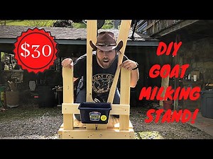 DIY Goat Milking Stand