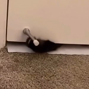 Pov: me randomly reaching into my boyfriends boxers | MARVE