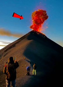 Nature Unleashed: Anger Mode Activated! ⚡ | Fart On My Wits