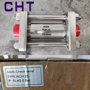 [Hot Item] Nh3 Freon Straight Through Neck Flange Check Valve for Cold Store Screw Compressor