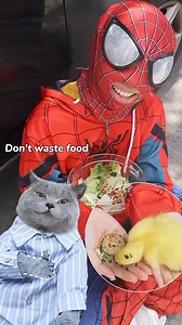 21K views · 215 reactions | Don't Harm Chick's  Feeding With wasted rice  ! Don't waste food #catvideos #catlover #catmemes #facebookreel #trendingreels #viralreelsシ #facebookviral | cutnikaprincess | Facebook