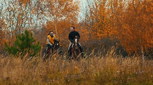 Two woman riding horses in the autumn field - Free Stock Video