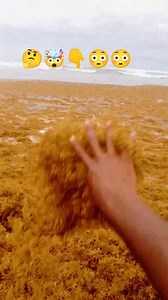 1.2M views · 2.1K reactions | This Is Scary 勞樂 #viral #scary #viralreelsシ | Bismark Tanoe | Facebook