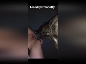 Dog Licks Pussy