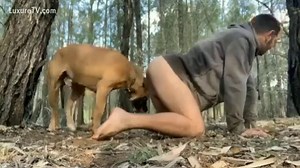 Macho empinado en el bosque follado por un perro