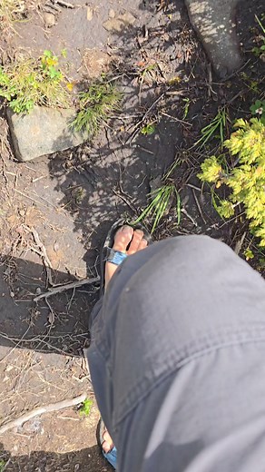 13K views · 497 reactions | #marianadventures #TaraDornelor #12apostoli #calimani | MarianAdventures | Facebook