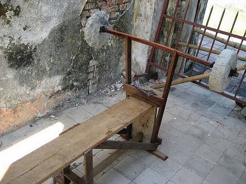 Target, Synergist And Stabilizer Muscles Explained