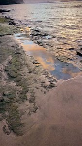 Kauaʻi is a dreamscape carved by nature herself. 🌿🌺 Explore Kauai: https://bit.ly/Experience-Kauai 📸 @aliakauaiphotography Follow @HawaiianParadise Follow @IslandVibes Follow @ExploreHawaii #Kauai #GardenIsle #HawaiiNature #AlohaSpirit #IslandEscape #WanderlustHawaii | Hawaiian Islands
