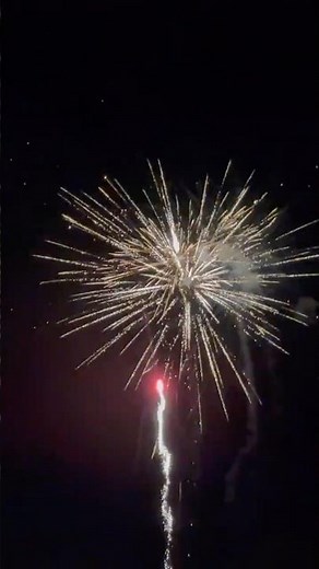 July 4th Fireworks: Raccoon Canister Shells