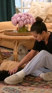 82K views · 1.9K reactions | The dog episode was so cute #selenagomez #selenachef #SelenaAndChef #selenapluschef #hbomax #rarebeauty #fyp #fypシ #fypシ゚viral | Selebriti updute | Facebook
