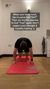 Struggling with your hips / pelvis Give this a go #physio #injury #physiotherapy #hipmobility #hippain #pelvicpain #pain #mobility | Luke Online Physio