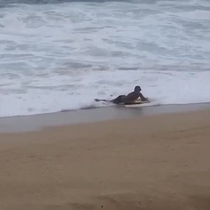 Monday feels like 🙈🙈🙈 | Vert Magazine