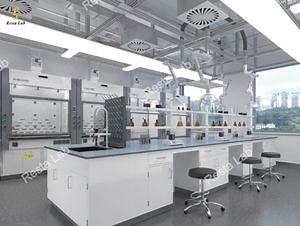 [Hot Item] Durable Wholesale Laboratory Metal Workbench with Reagent Rack and Sinks