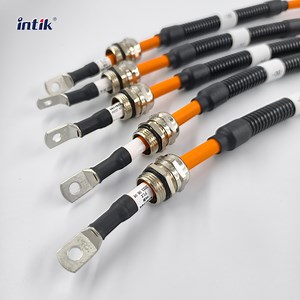[Hot Item] EV High Voltage Connection Wiring Harness for Custom Battery Systems