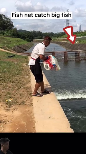 🥳The weather is good today, I came out to catch fish again🤩🐠#fish#netfish#fishing#nature#catchfish