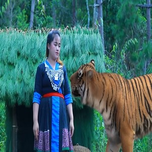 7.8K views · 49 reactions | primitive girl build a hut fur by pine leaves | Jasmine Barron ៚ | Facebook