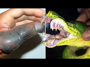 10 serpents les plus venimeux 2025 : 1 goutte peut tuer plus de 100 000…