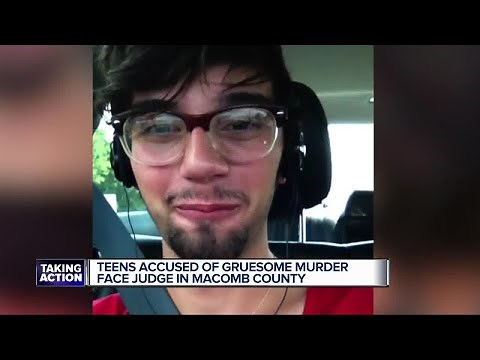 Teen accused of gruesome murder face judge in Macomb County