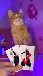 9.3K views · 470 reactions | Bleach  Cosplay & Made by instagram.com/frrfrr_house #bleach #bleachcosplay #cosplay #catcosplay #cutecosplay #petcosplay #halloweenideas #halloweencosplay #halloween | EZCosplay Costumes | Facebook