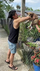 142K views · 3.5K reactions | Ôi con gái của mẹ  | Gia Hieu | Facebook