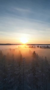 173 reactions · 11 shares | ✨ Make 2025 Unforgettable! ✨ Surprise...