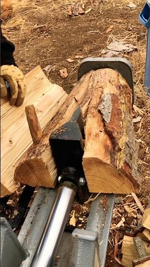 How much wood is a cord in 2025?