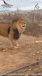 Dont Mess With Animals! | Sebastian Cafe Latin Restaurant