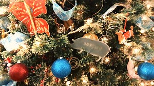 Shopping for Christmas gifts can be time-consuming and frustrating,...