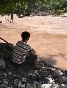 83K views · 285 reactions | :V :V :V | Fishing Addicts | Facebook