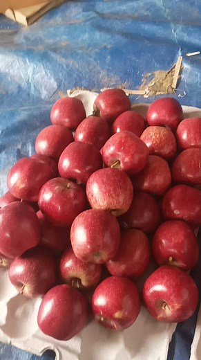 1.3K views · 14 reactions | Royal delicious | Himalayan Apple | Facebook