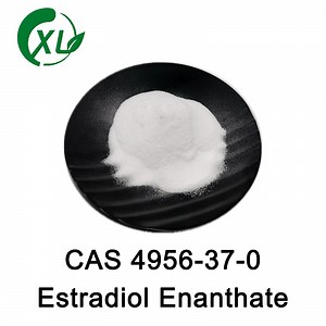 99% Estradiol Enanthate Powder CAS 4956-37-0 Oestradiol 17-Heptanoate/Estradiol Enanthate