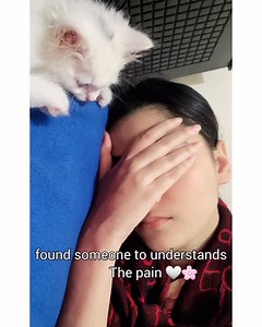 Better than human 🖤 | 𝑻 𝑨 𝑺 𝑭 𝑰 𝑨 シ︎