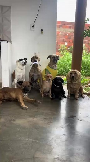 Estreias Netflix Abril: Família Dona Puma Convoca