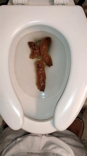 Rushed, no frills morning dump 1/22/2026--Part 1