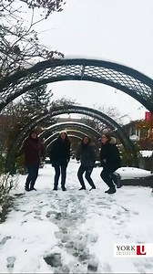 2K views · 35 reactions | Winter in Toronto? "Snow" problem for some #YorkU students and staff who got out for some fun on the mid-campus Commons today! ☃️ ❄️ Watch out for Snowballs! #WeareYU #snowinTO | York University Students | Facebook