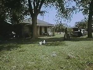 STREET FIGHTS Coonskin (Adult Cartoon)