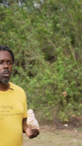 190K views · 10K reactions | Florida sandhill cranes #florida #omgitswicks #sandhillcranes #floridian | Omgitswicks | Facebook