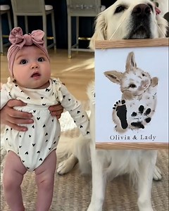 9.1M views · 203K reactions | Core memory unlocked 凉✨ | Furry Tails | Facebook