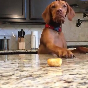 9.6K views · 192 reactions | Me on a diet!!! LOL!!! | Mac Robinson | Facebook