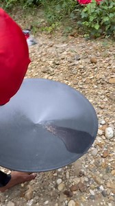 1.1K views · 20 reactions | Traditional gold panning yields thousands of gold grains in rusty rivers #goldgrains #goldpanning #river #goldmining #goldmine #goldrush #goldhunter #golden #goldenretriever | Gunawan Satria | Facebook