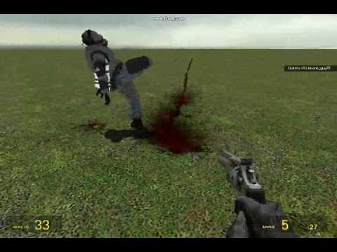 Gmod - the Dismemberment Mod.