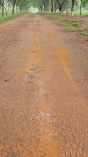 🥀🥀❤️❤️Bheegi bheegi sadko pe main Tera intezaar karun,.....❤️❤️🥀🥀 #reelschallenge #reelsvideoシ #reelsfbシ #reelsviralfb #reelsindia #reelsoftheday #reelstrending #reelsvideo #viralreelschallenge #viralvideochallenge #foryoupageシ #foryouシ #helpinghandA #highlight #everyone #followers | Mrinmoy Kanti