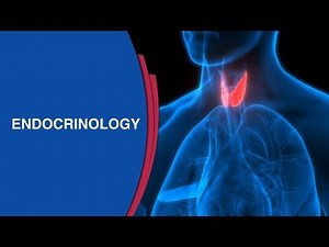 How To Get Rid Of Male Boobs Or Gynaecomastia? | Best Diabetologists in Bangalore | Manipal Hospital