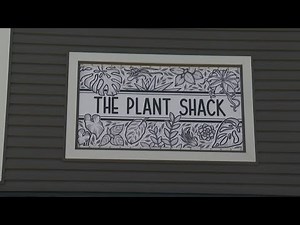 'The Shack that Gives Back': Lewiston botanist offering zen in the form of unique houseplants
